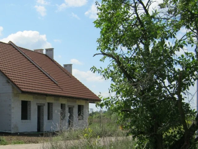 Zdjęcie z galerii