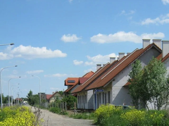 Zdjęcie z galerii