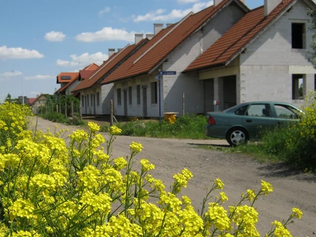 Zdjęcie z galerii