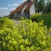 dom, sadyba, radwanice, wrocław, szereg,